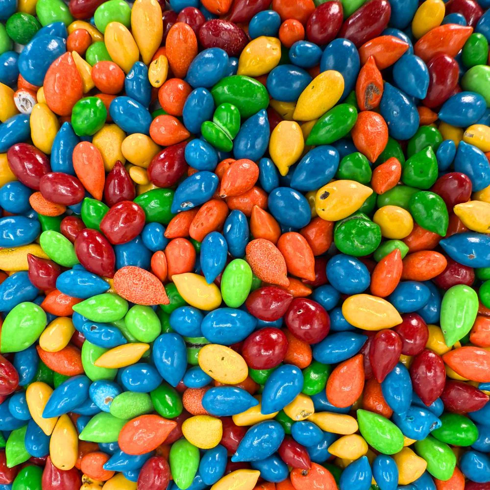 Kimmie Candy – Sunburst Candy-Coated Chocolate Sunflower Seeds – Bulk Value Bag - Image 3
